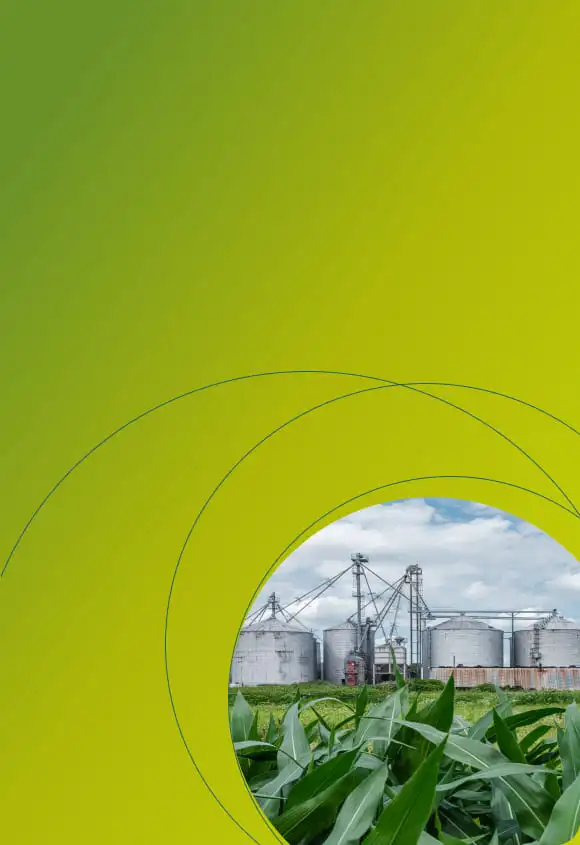 Работодателям