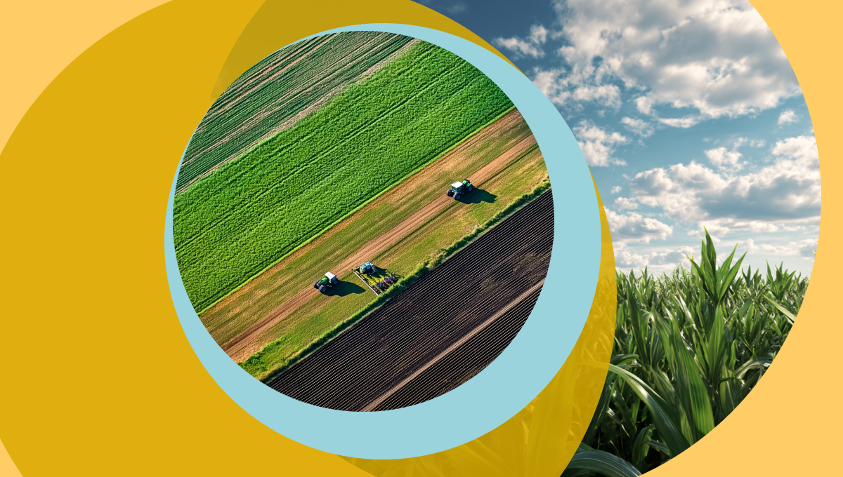 Основные понятия и концепции цифровизации растениеводства