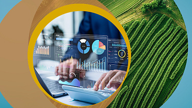 Налогообложение КФХ
